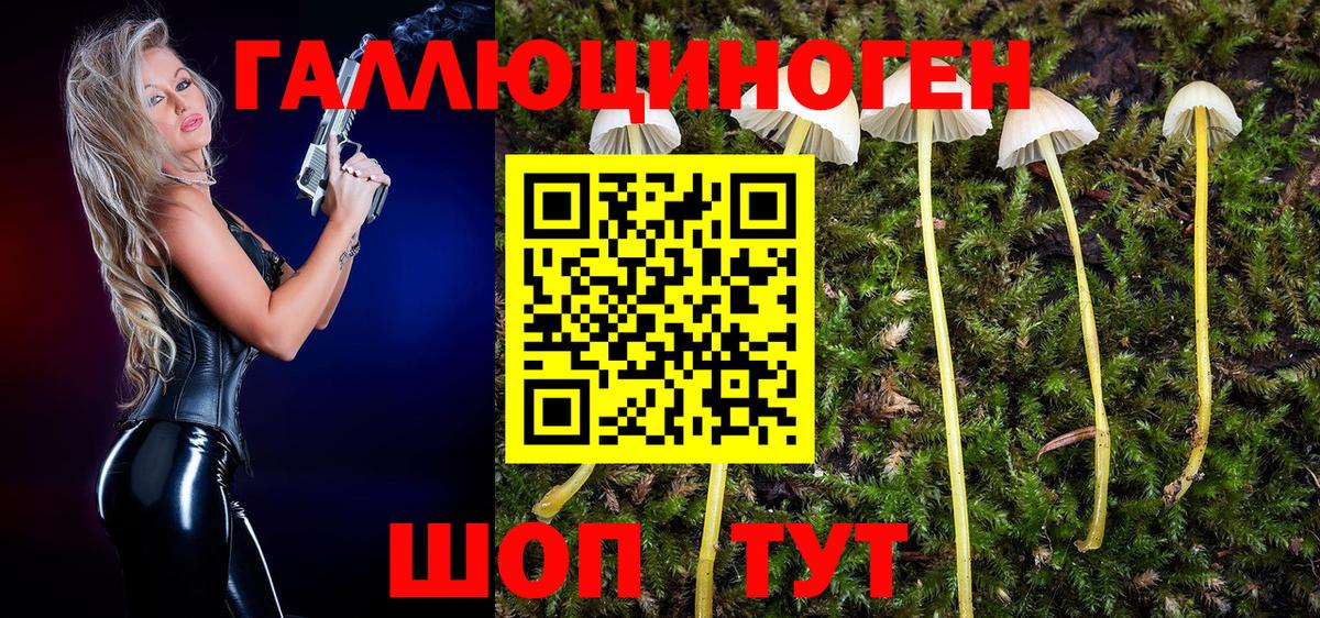Галлюциногенные грибы MAGIC MUSHROOMS Урус-Мартан